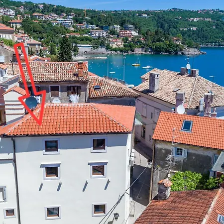 Ula Premium ,free Private Parking Lejlighed *